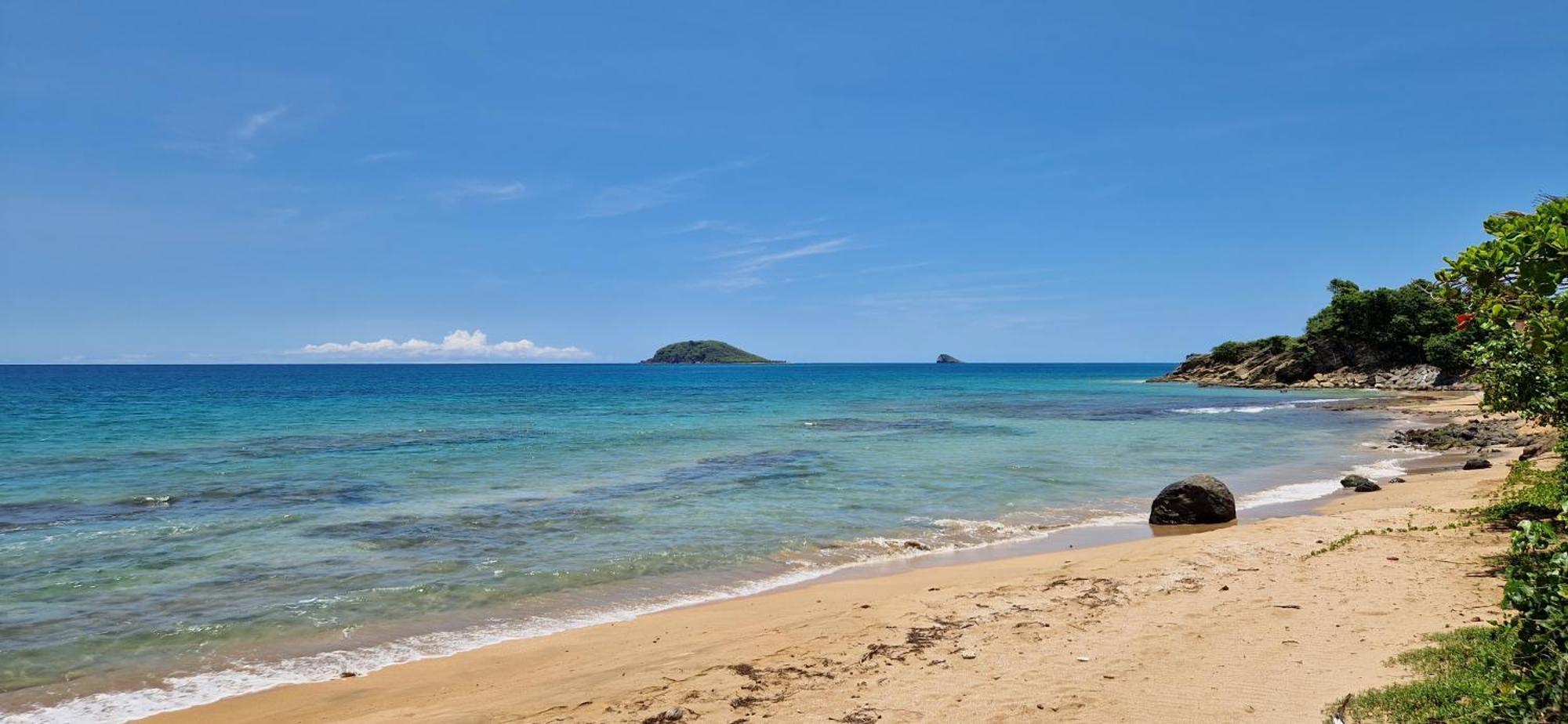 La Belle Vue - Grand Studio Vues Mer Et Acces Plages Deshaies Exterior foto